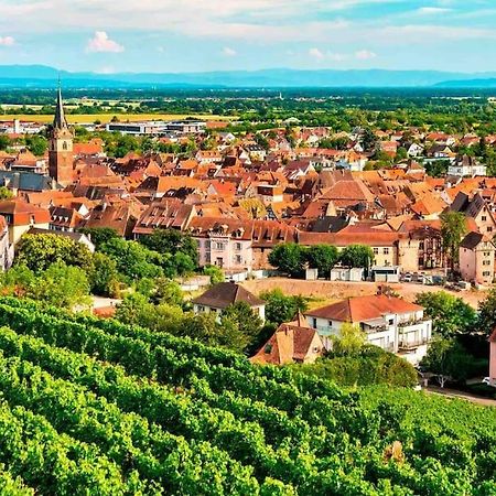Le Carrousel - Appartement Cosy Centre Obernai Eksteriør bilde