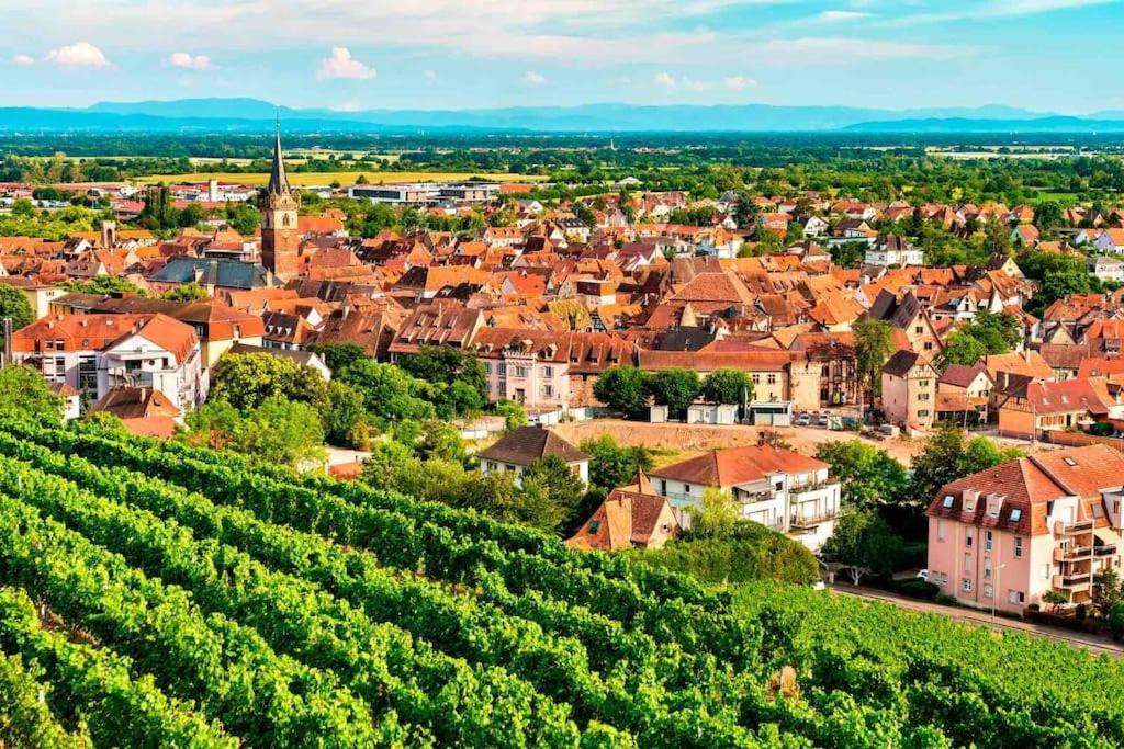 Le Carrousel - Appartement Cosy Centre Obernai Eksteriør bilde